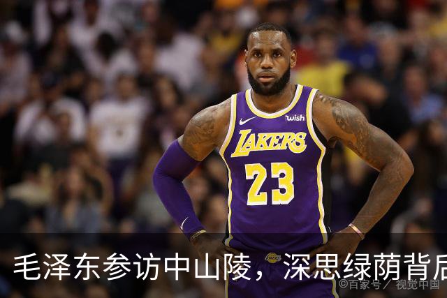 毛泽东参访中山陵，深思绿荫背后的历史与治理
